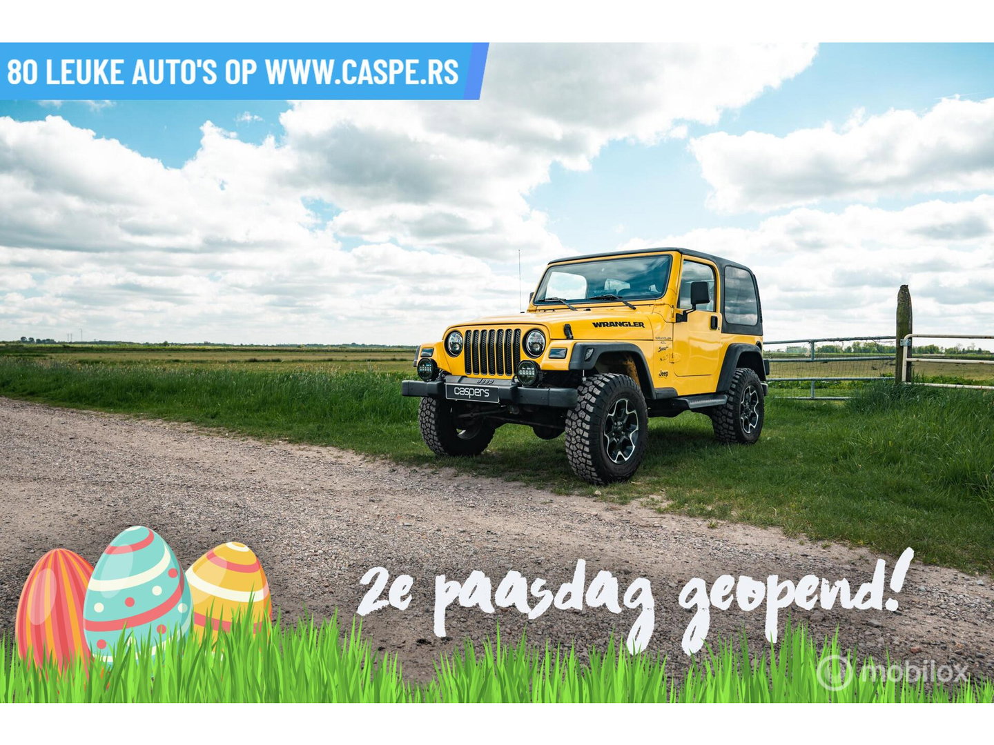 Jeep Wrangler 4.0i Hardtop Sport | LED | CarPlay | Lift-kit