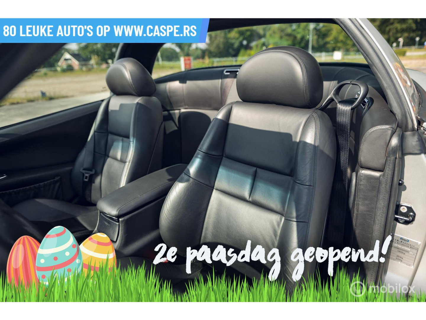 De Tomaso Mangusta Qvale