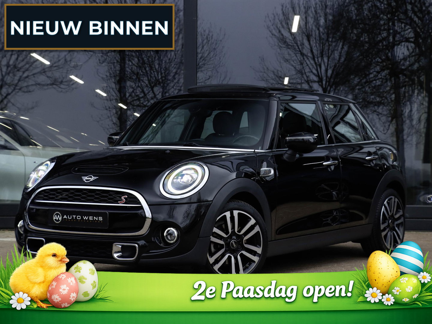 MINI Cooper S 2.0 Greenwich 192PK Panodak Sportstoelen Leer Camera