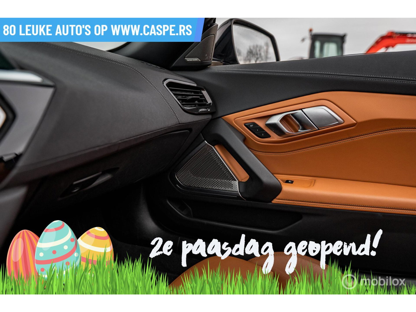 BMW Z4 Roadster sDrive30i High Executive