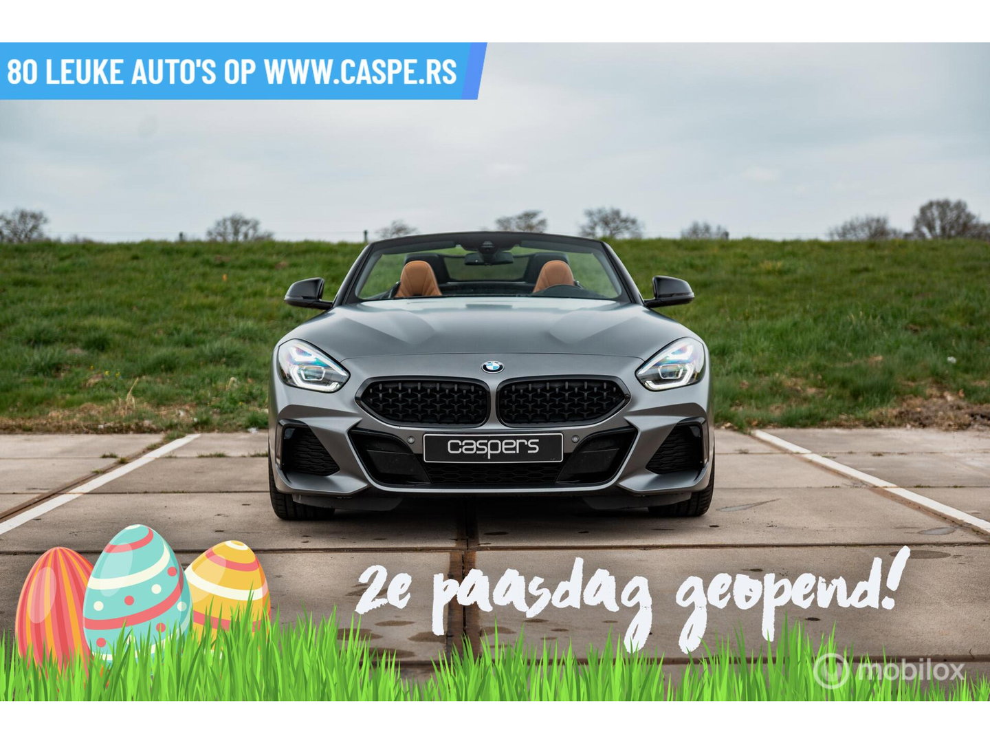 BMW Z4 Roadster sDrive30i High Executive
