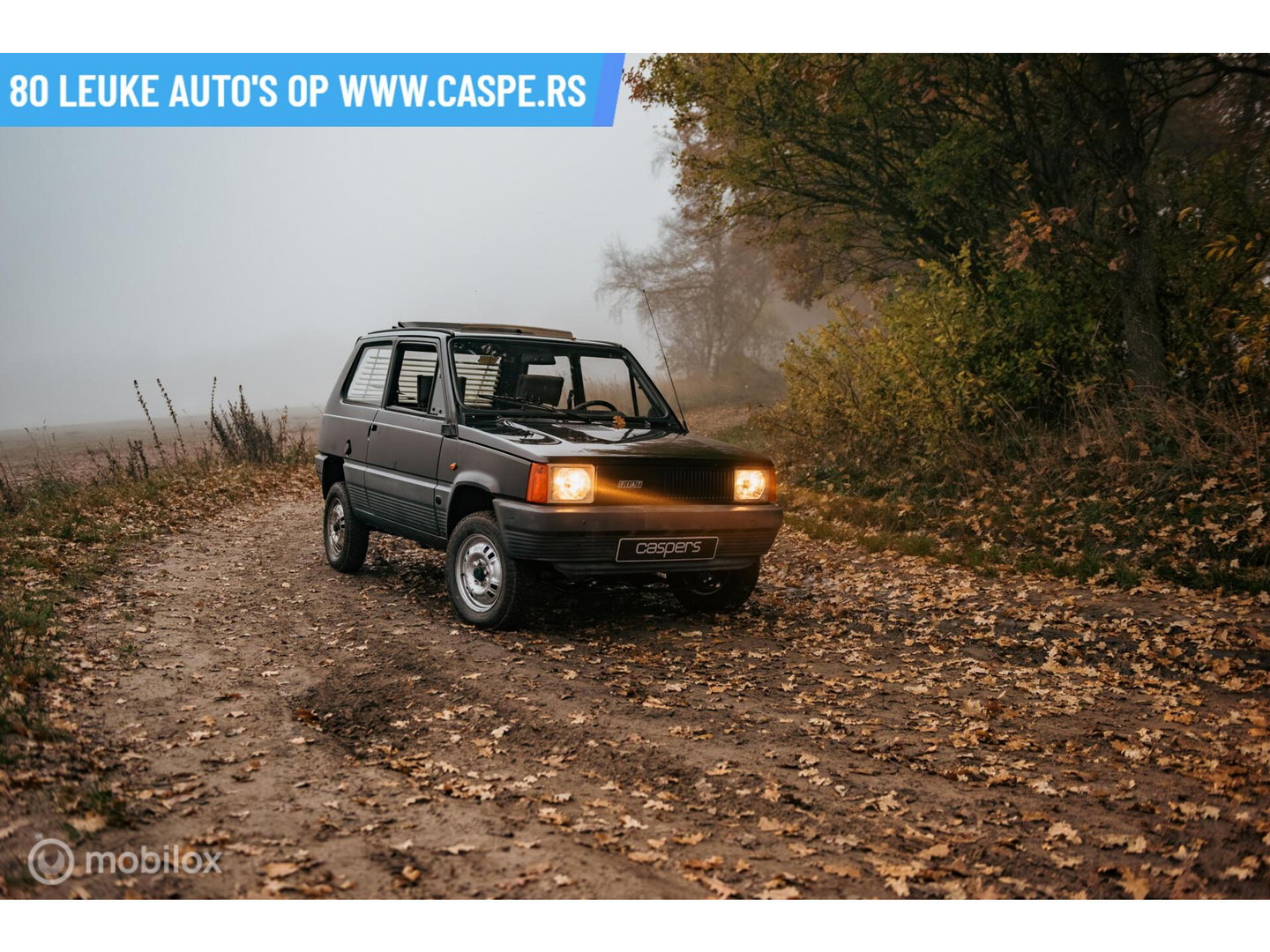 Fiat Panda 4x4 | Steyr-Puch | 1986 | Nette staat