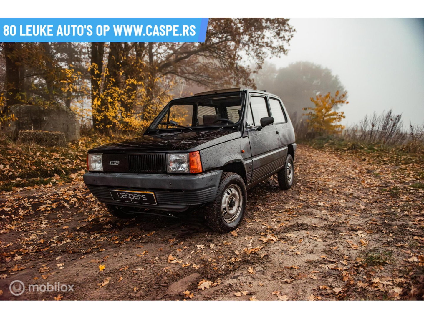 Fiat Panda 4x4 | Steyr-Puch | 1986 | Nette staat