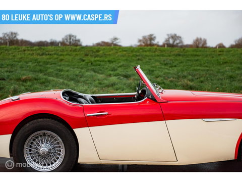 Austin Healey 100 6