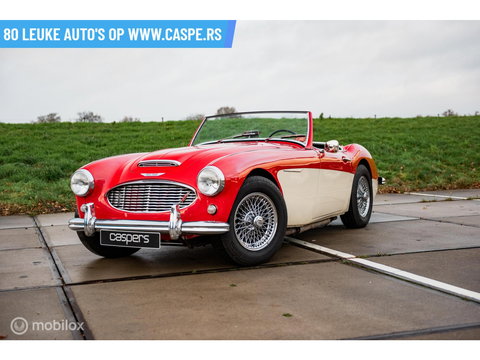 Austin Healey 100 6