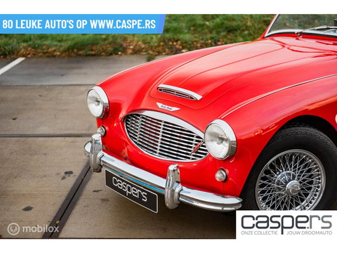 Austin Healey 100 6
