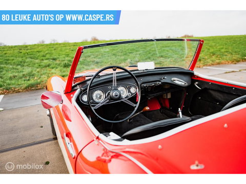 Austin Healey 100 6