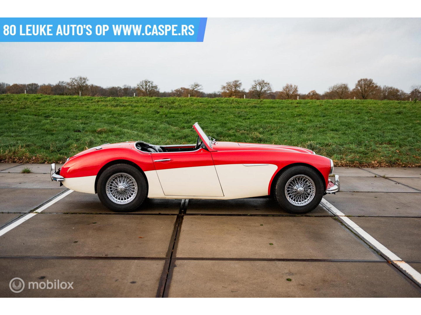 Austin Healey 100 6