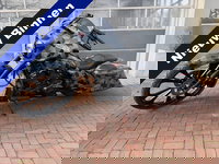 Harley-Davidson Street Glide - 114 FLHXS Special 30 inch extreme bagger Uniek geen tweede van !!