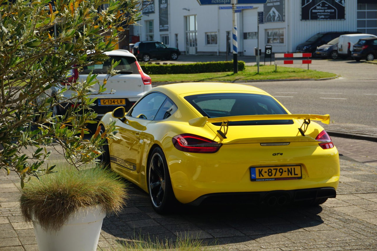 Porsche Cayman