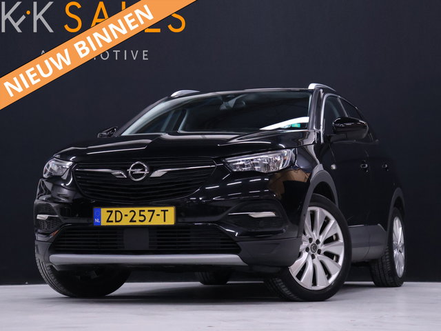 Opel Grandland X - 1.2 Turbo Business Executive [APPLE CARPLAY, CAMERA, DODE HOEK DETECTIE, CRUISE CONTROL, ELEKTRISCHE ACHTERKLEP, LANE ASSIST, NAVIGATIE, NIEUWSTAAT]