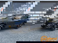 Volkswagen Tiguan - 1.5 eTSI R-Line Edition|360cam|ACC|Massage|Sfeerverlichting