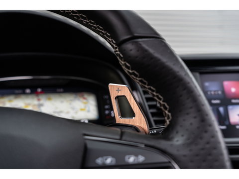 SEAT Leon 2.0 TSI CUPRA CARBON EDITION BREMBO BEATS PANO