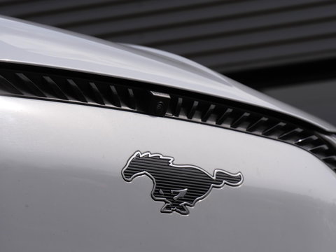 Ford Mustang Mach-E EXTENDED RWD 98kWh/ TECHNOLOGY PACK PLUS/ SOH 93%
