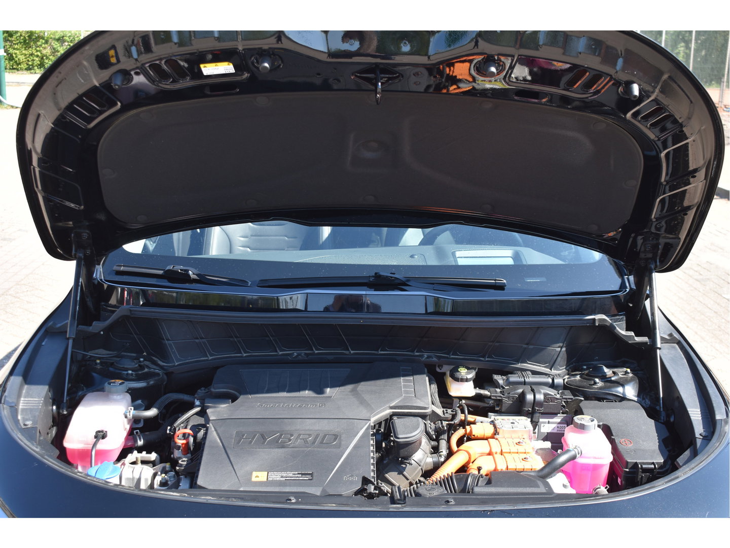 Kia Niro 1.6 GDi Hybrid DynamicPlusLine | NL-Auto | Vol | HUD | Keyless | Open dak | Carplay | Stuurverwarming | Full LE | Trekhaak