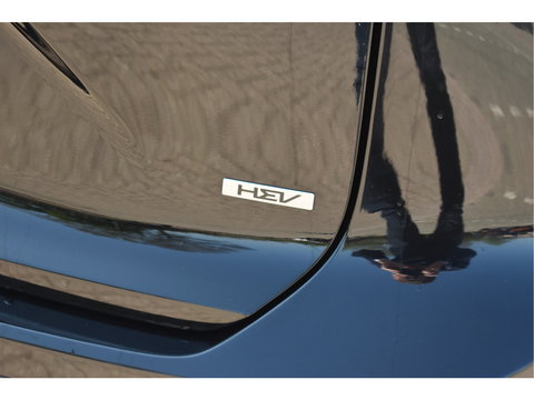 Kia Niro 1.6 GDi Hybrid DynamicPlusLine | NL-Auto | Vol | HUD | Keyless | Open dak | Carplay | Stuurverwarming | Full LE | Trekhaak