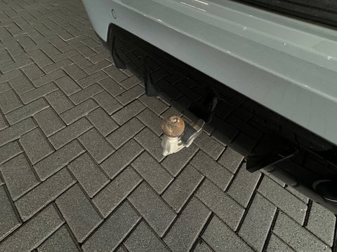 BMW 3 Serie Touring 320e M Sport Pano|Trekhaak|Sfeer|InclBTW