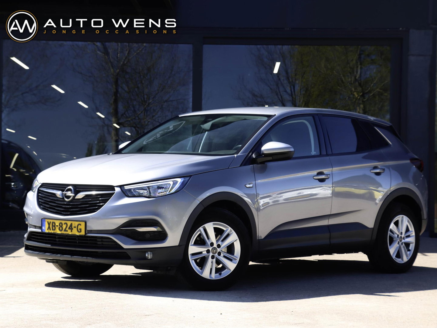 Opel Grandland X 1.2 Turbo Online Edition | Trekhaak