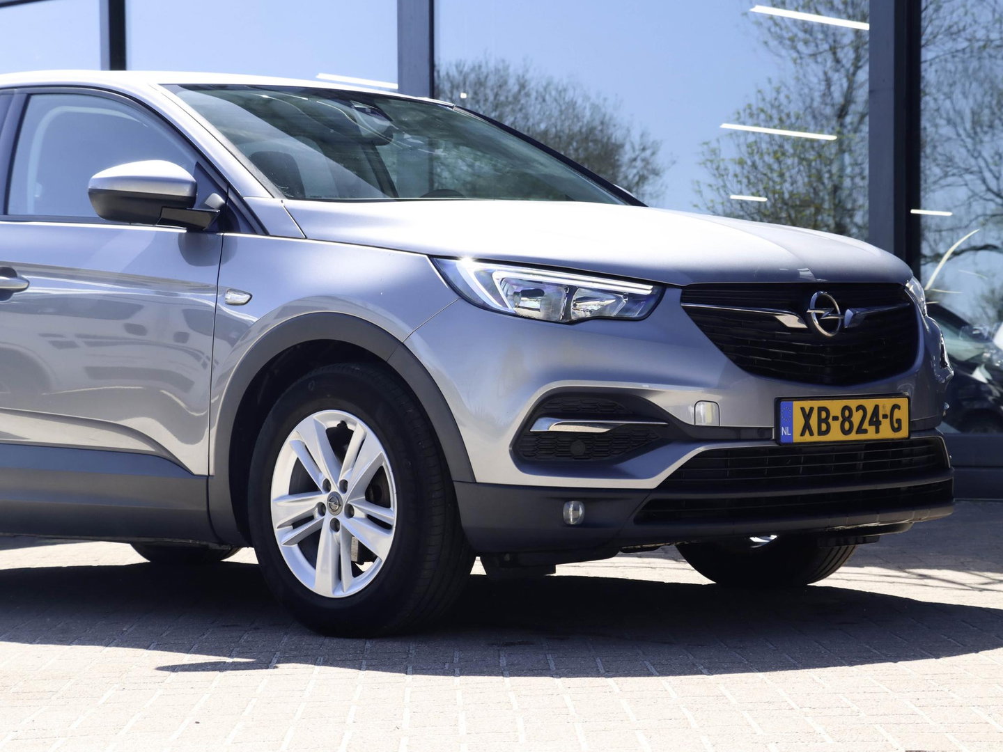Opel Grandland X 1.2 Turbo Online Edition | Trekhaak