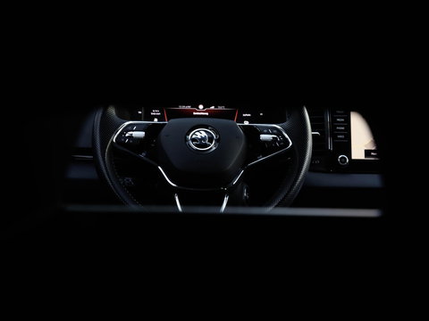 Škoda Karoq 1.5 TSI ACT Sportline DSG Adapt. Cruise Trekhaak Winterpakket
