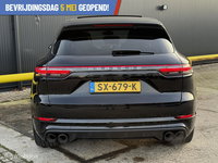Afbeelding 12