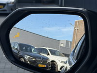 Afbeelding 41