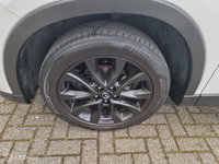 Afbeelding 38