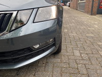 Afbeelding 5