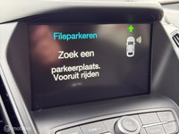 Afbeelding 21