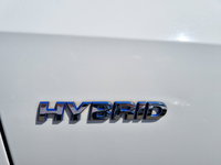 Afbeelding 7