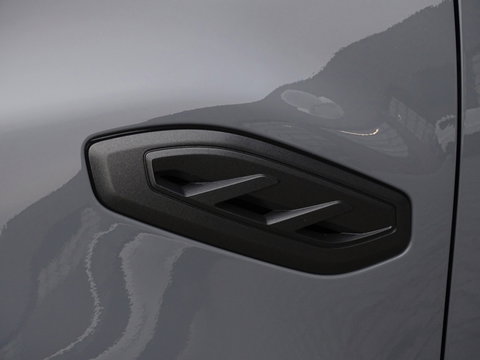 Ford Ranger 2.0 E.B. 212PK Raptor / luxe pakket / LED