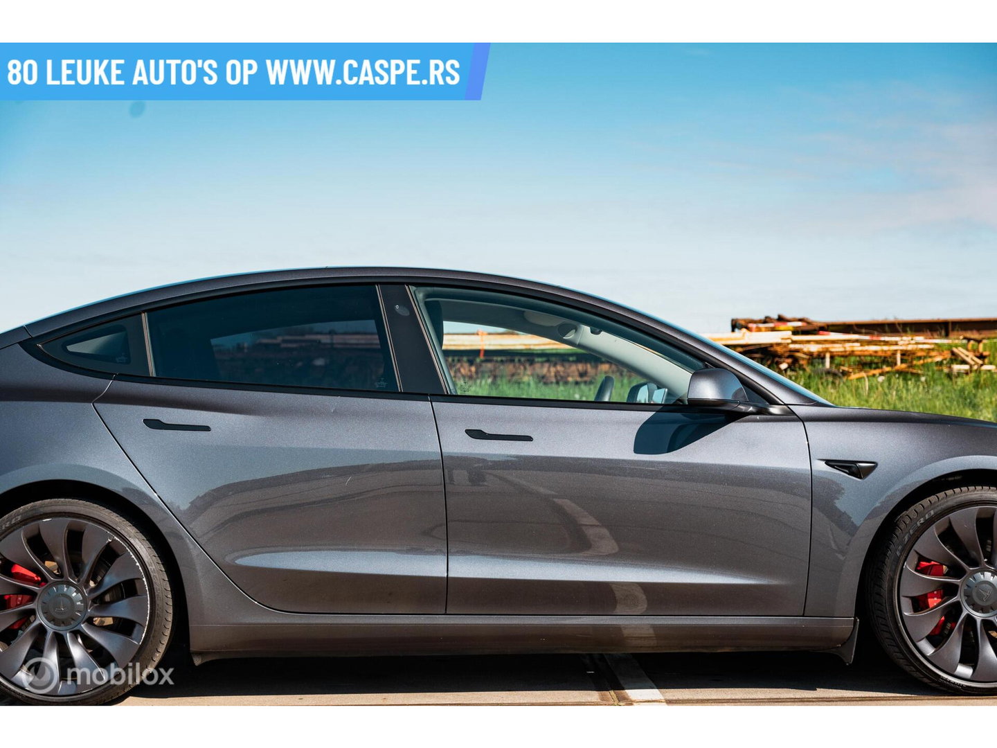 Tesla Model 3 Performance AWD 75 kWh