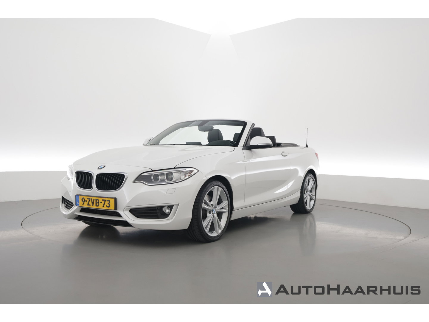 BMW 2 Serie Cabrio 220i | Cruise Control | Bluetooth | PDC | Stoelverwarming | Navi | Leder