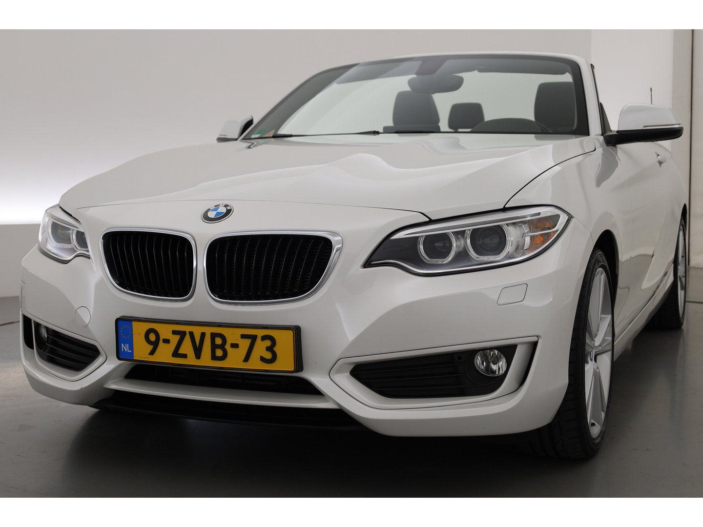 BMW 2 Serie Cabrio 220i | Cruise Control | Bluetooth | PDC | Stoelverwarming | Navi | Leder