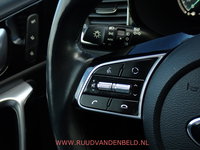 Afbeelding 15