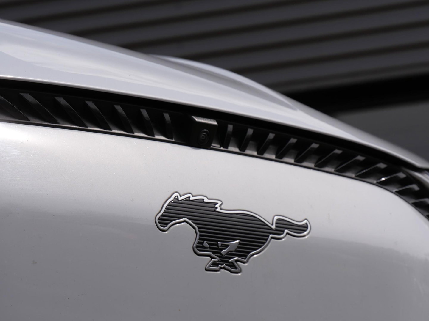 Ford Mustang Mach-E EXTENDED RWD 98kWh/ TECHNOLOGY PACK PLUS/ 4 NIEUWE ALL-SEASON BANDEN/ SOH 93%