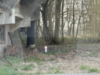 Afbeelding 21