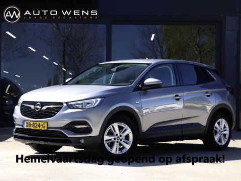 Opel Grandland X 1.2 Turbo Online Edition | Trekhaak