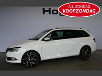 Škoda Fabia - Combi 1.0 TSI Business Edition Clima Cruise Apple CarPlay Panoramadak Inruil Mogelijk!