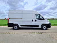 Afbeelding 8