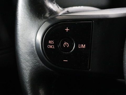 MINI Countryman 1.5 Cooper S E ALL4 Business Edition | SOH 91,5% | Leder/Alcantara | Carplay | Memory | Navigatie | Full LED | Climate control | Parkeerhulp | Cruise control | Bluetooth | PHEV | Plug In