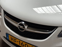 Afbeelding 21