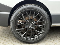 Afbeelding 13