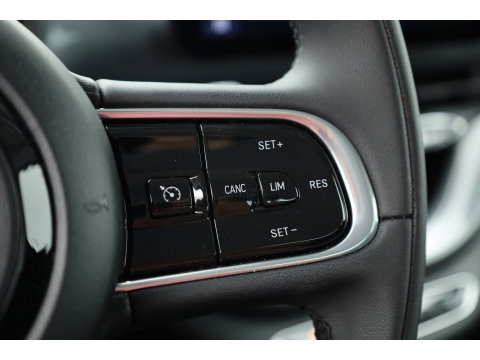 Fiat 500 42 kWh | SOH 95 % | Navi by App | Camera | Apple CarPlay | Stoelverw. | Keyless | Dodehoekdet.