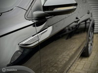 Afbeelding 21