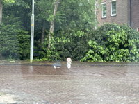 Afbeelding 26