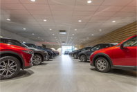 Afbeelding 42