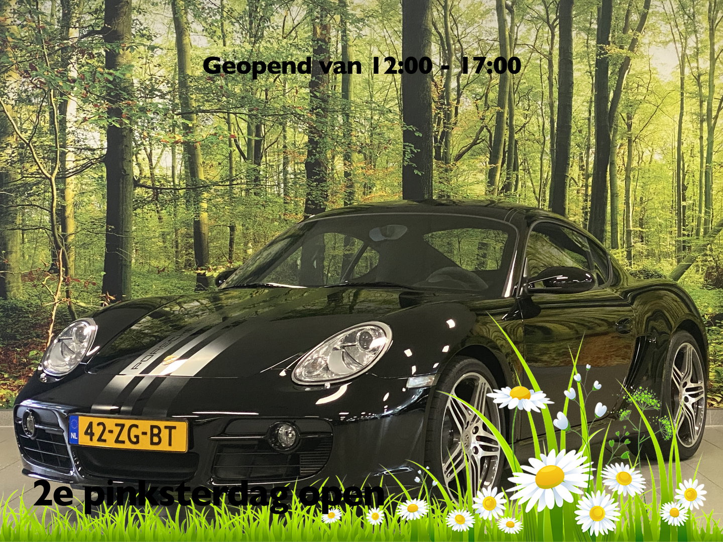 Porsche Cayman S 3.4 | Limited Edition | Origineel Nederland | Collectors item | 296 PK! | 614/777 |