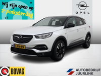 Opel Grandland X - 1.2 Turbo Automaat Business Edition Nav/Camera/Agr /Winterpakket
