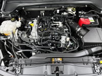 Afbeelding 32